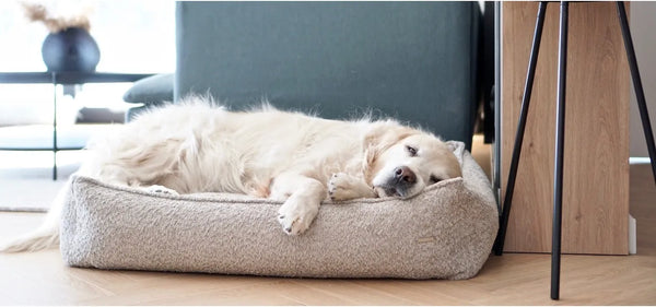 labbvenn bukkla dog bed